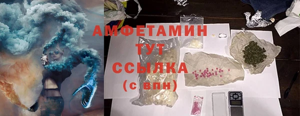 МДПВ Бородино