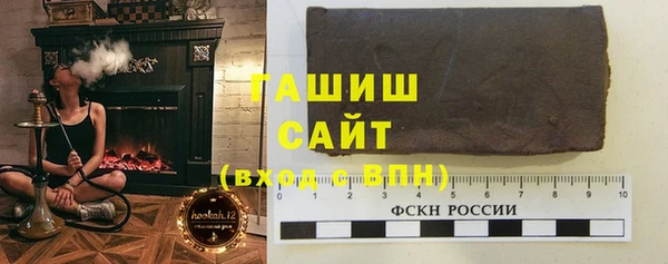 МДПВ Бородино