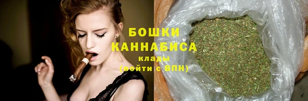 МДПВ Бородино