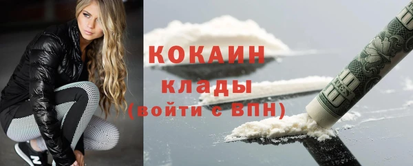 МДПВ Бородино