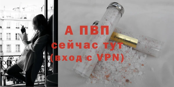 МДПВ Бородино