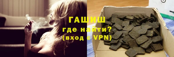МДПВ Бородино