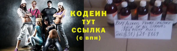 МДПВ Бородино