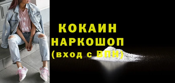 МДПВ Бородино