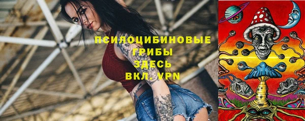 МДПВ Бородино