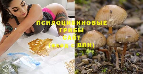 МДПВ Бородино