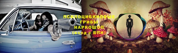 МДПВ Бородино
