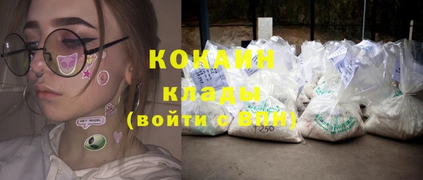 МДПВ Бородино